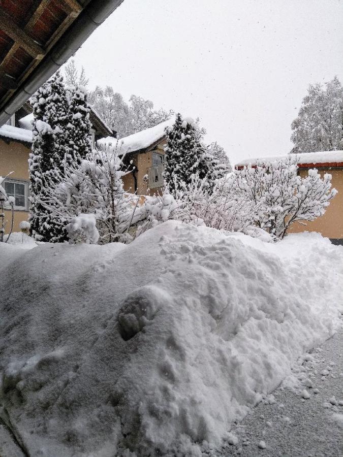 Ferienwohnung Pietzavka Wiesenfelden Exteriör bild