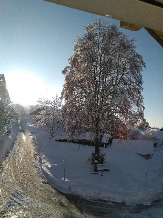 Ferienwohnung Pietzavka Wiesenfelden Exteriör bild